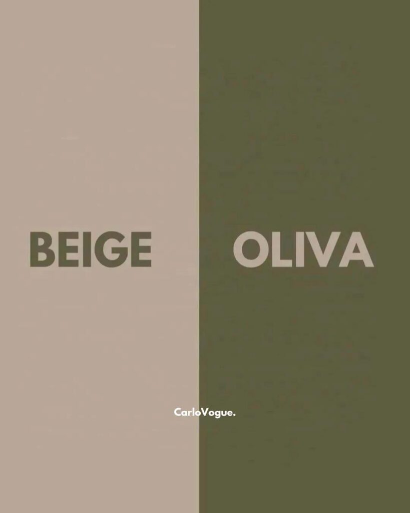 Formal Shirts Color Combinations - Italian Vogue 5
