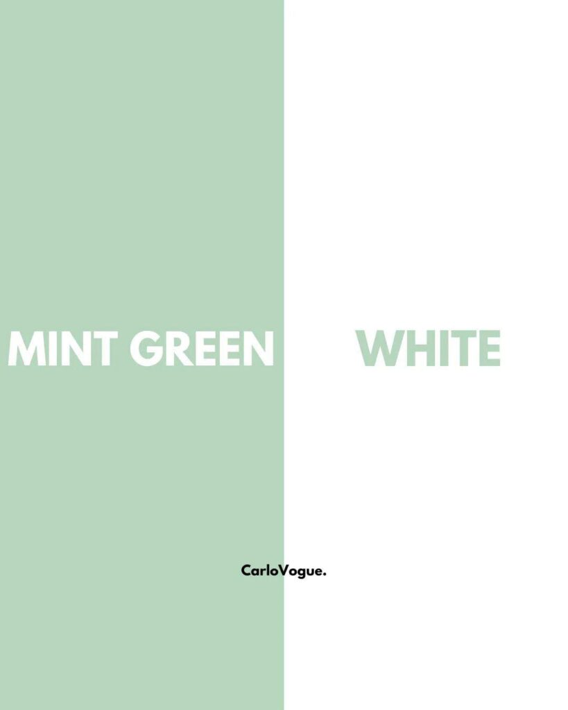 Formal Shirts Color Combinations - Italian Vogue 17 Formal Shirts Outfit mint green Shirt